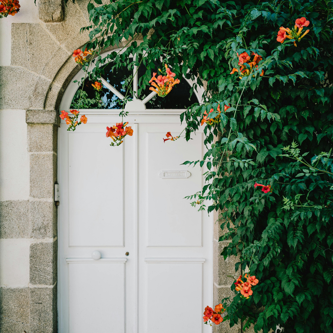 White door framed by climbing trumpet vine with coral blossoms